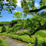 Photo water conservation