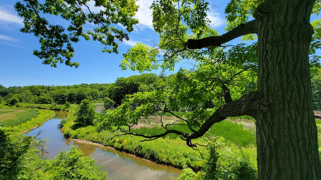 Photo water conservation