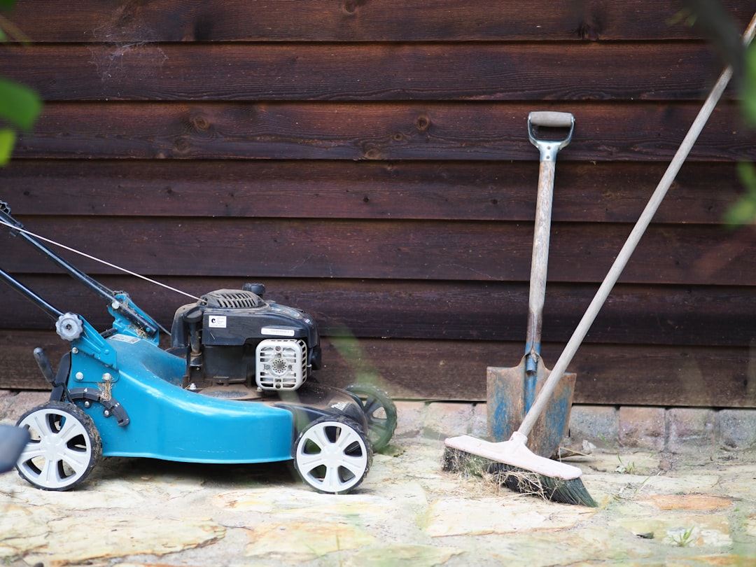 Photo Spring garden cleaning (list)