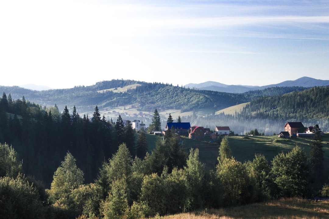 Photo Wakacyjna apteczka