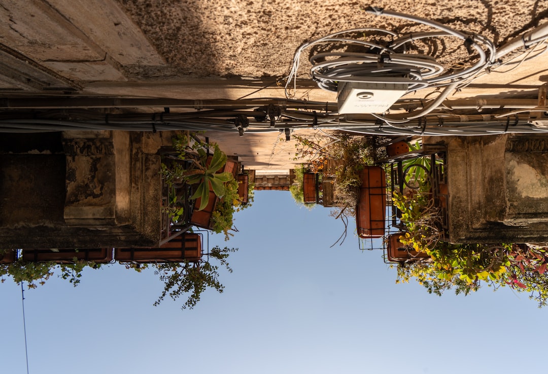 Photo flowers hanging on balcony and terrace