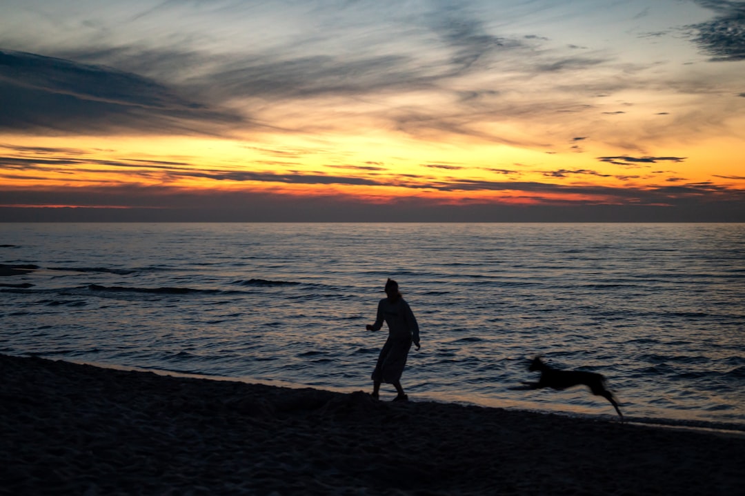 Photo holiday with a dog