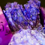 Photo purple dress